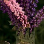 AR Glasses - Lavender flowers in a vase with two glasses of wine