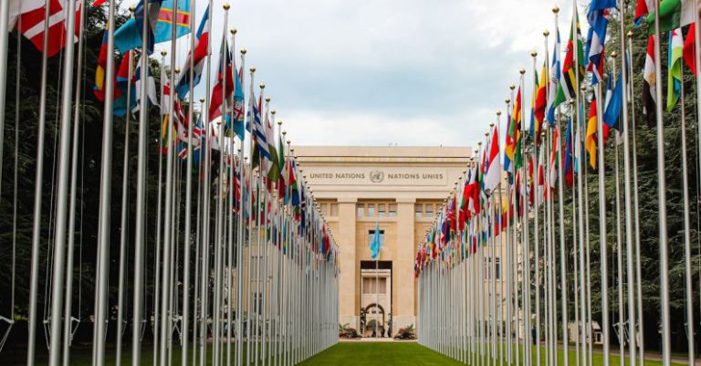 Resolution - From below of various flags on flagpoles located in green park in front of entrance to the UN headquarters in Geneva