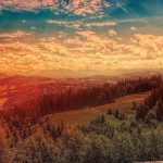 4K Projectors - Pine Trees Under Blue Sky during Golden Hour