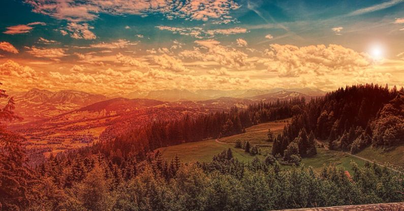 4K Projectors - Pine Trees Under Blue Sky during Golden Hour